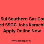 Latest Sui Southern Gas Company Limited SSGC Jobs Karachi 2025 Apply Online Now